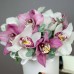 Орхидея с эвкалиптом в коробке 85