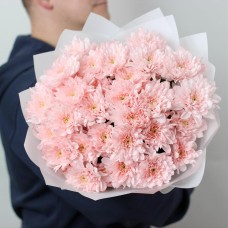 Монобукет из 7 нежно-розовых кустовых хризантем 73