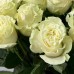Монобукет из 15 белых роз сорта Мондиаль 53